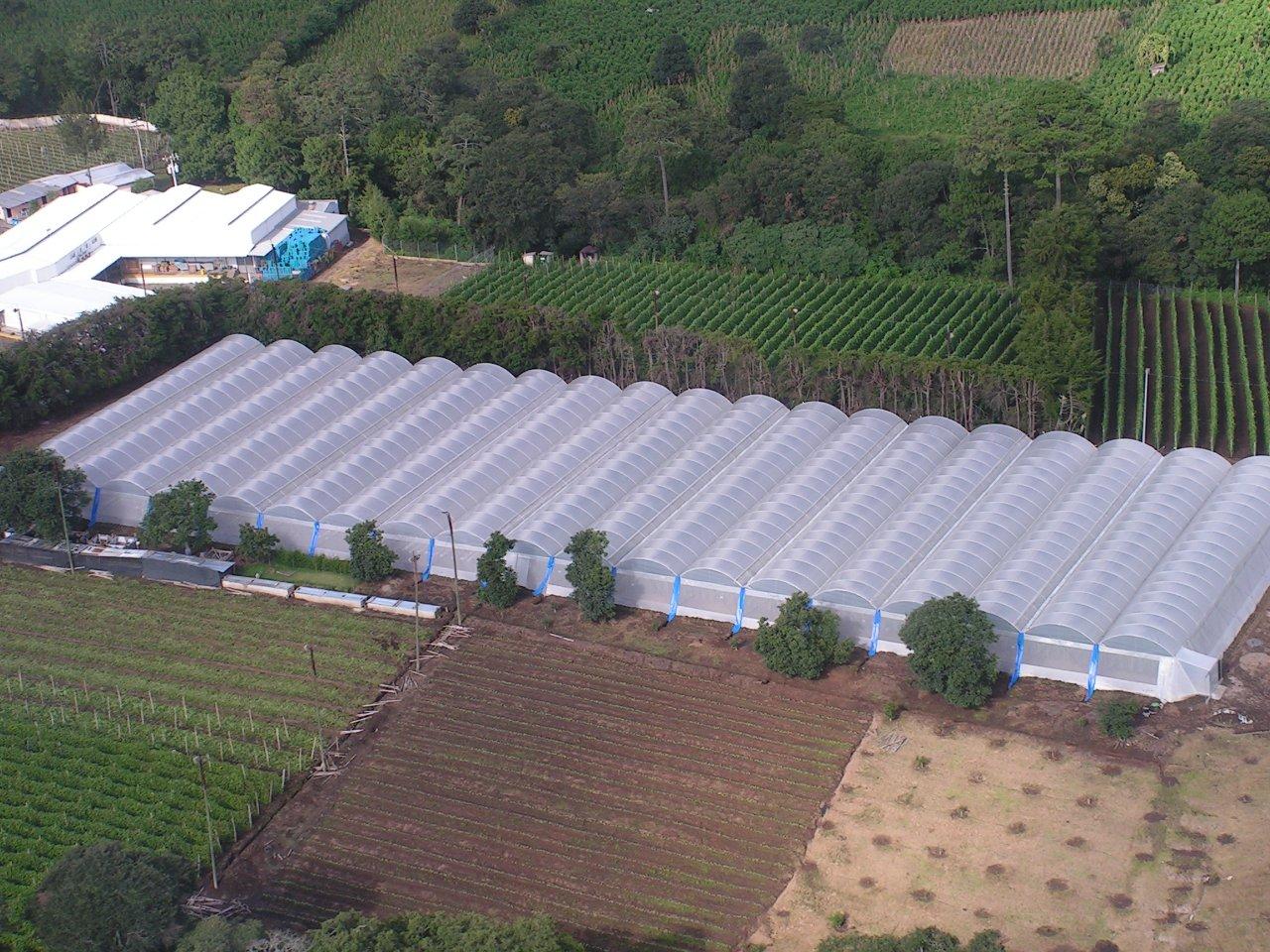 White Greenhouse Plastic Cover Poly Film, 4 Year 6 mil 55% Shaded (16ff x  25ft)