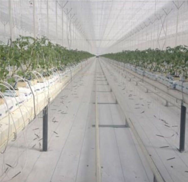 SunView™ Standard CLEAR Greenhouse Plastic Film 6 Mil UV 4 Year 90% Light  Trans. (E2118)